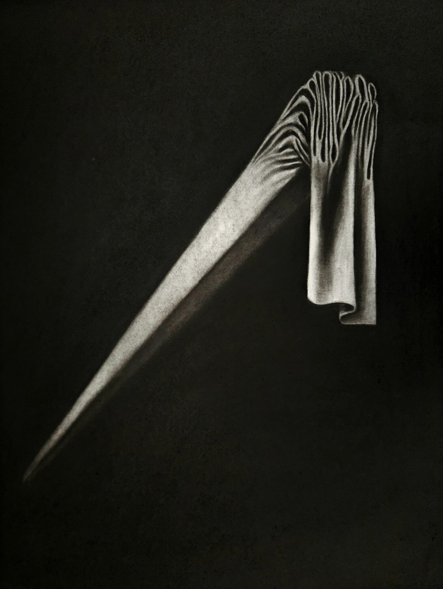 Bésame ahora que no pueden vernos (Kiss me now that they cannot see us). Charcoal on paper, 65 × 50 cm, 2025