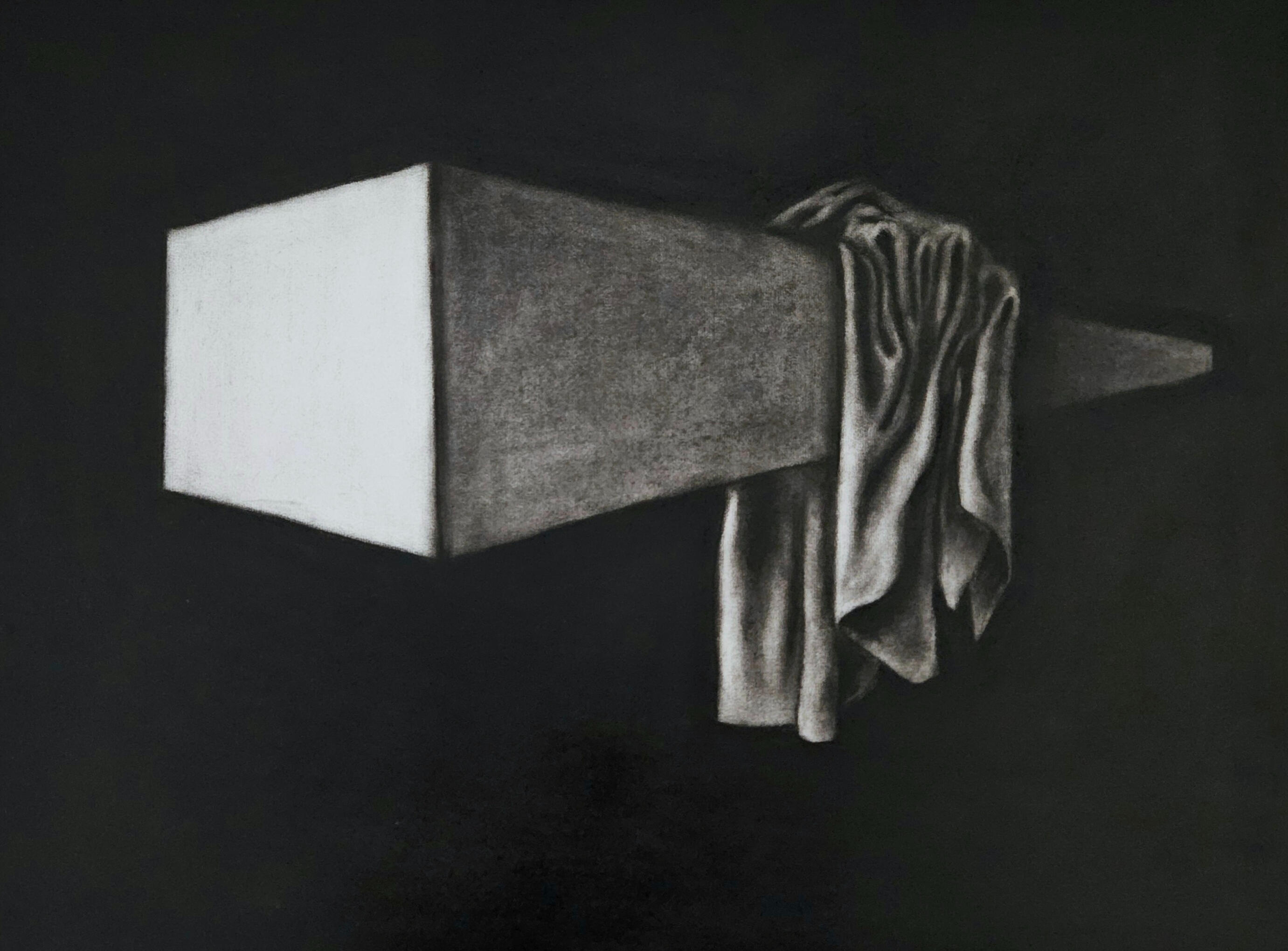 Una bandada de inexpertos (A flock of novices). Charcoal on paper, 65 × 50 cm, 2025